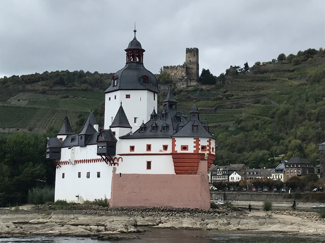 Rhine River Day Cruises-莱茵河畔宾根必去景点