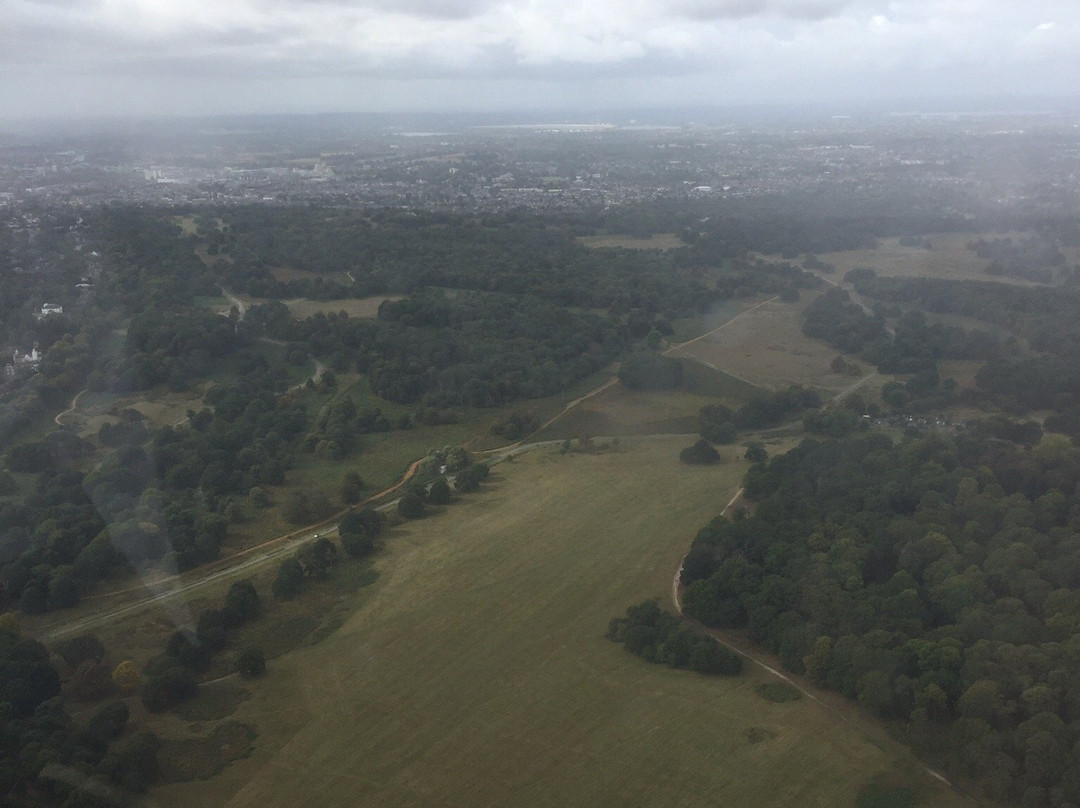 The Redhill Helicopter-Redhill必去景点