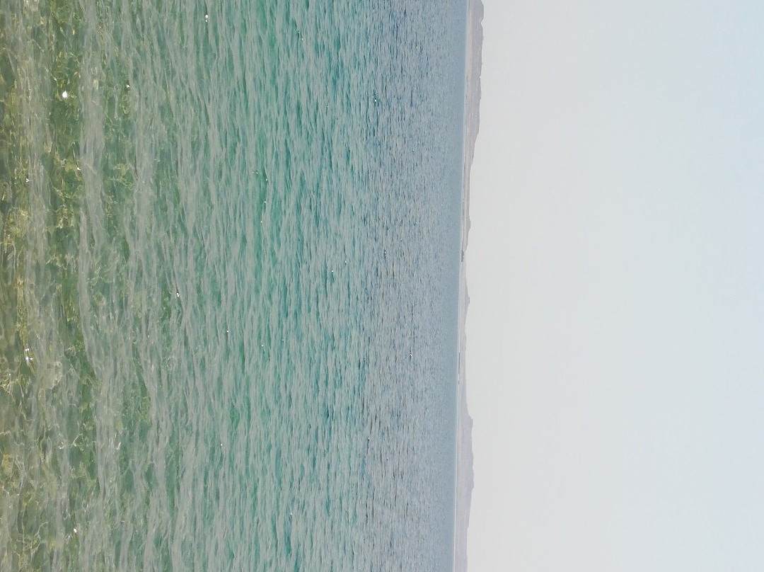 Best Tours in Qatar景点图片