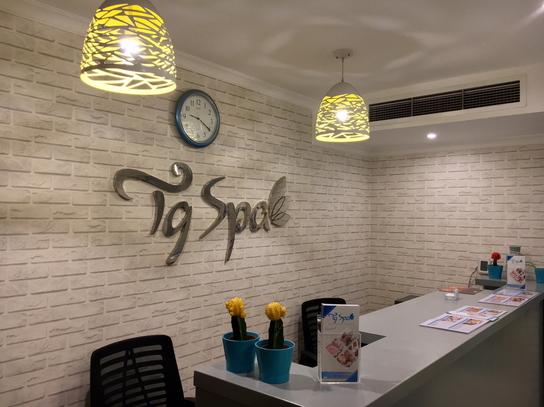 TG Spa