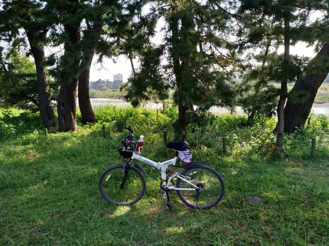 Gohommatsu-狛江市必去景点