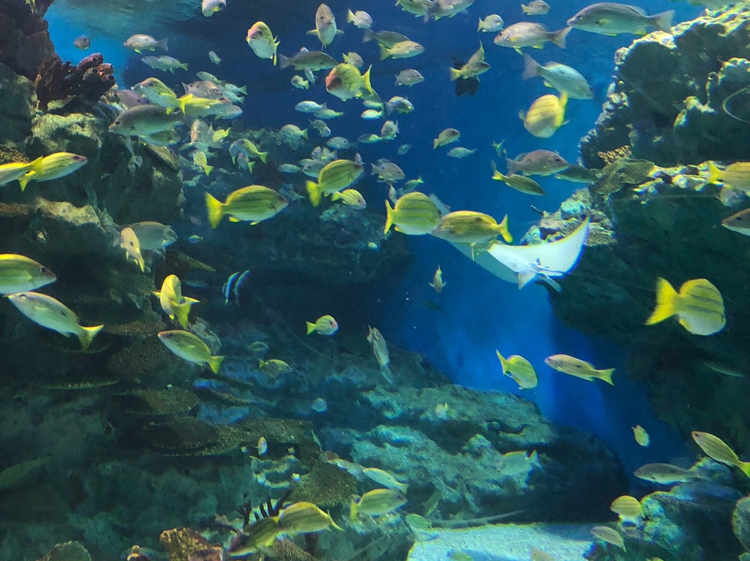 海昌极地海洋世界景区景点图片