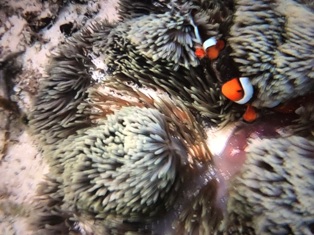 Friwen Island-Friwen必去景点