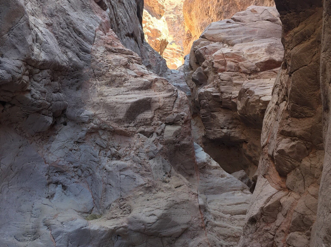 Sara Park-哈瓦苏湖城必去景点