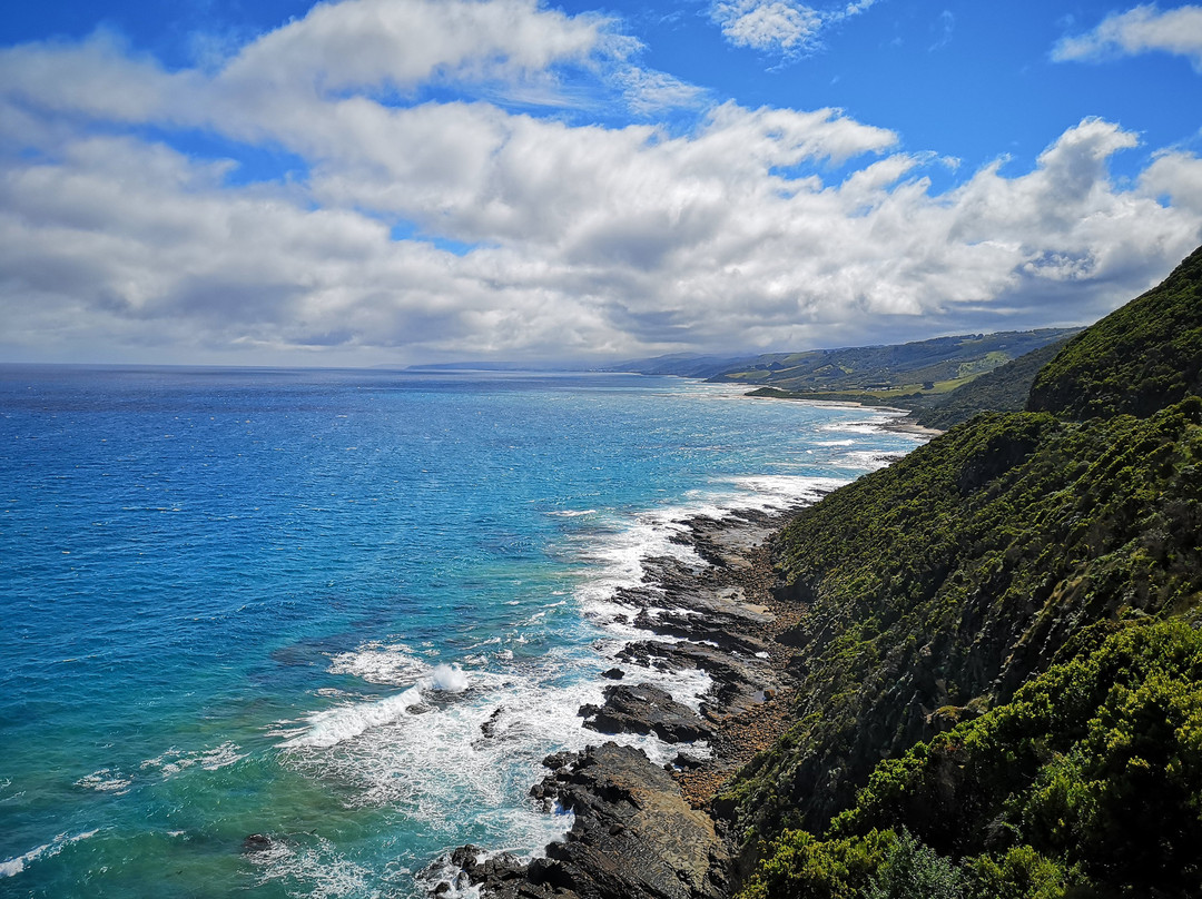 Cape Patton Lookout Point景点图片