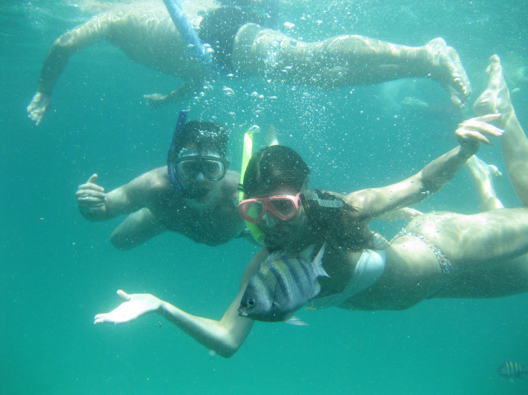 Angra Ocean Turismo景点图片