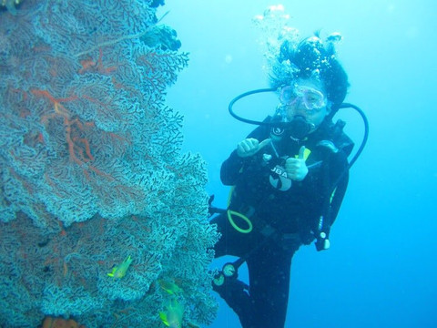 巴厘岛潜水-沙努尔必去景点