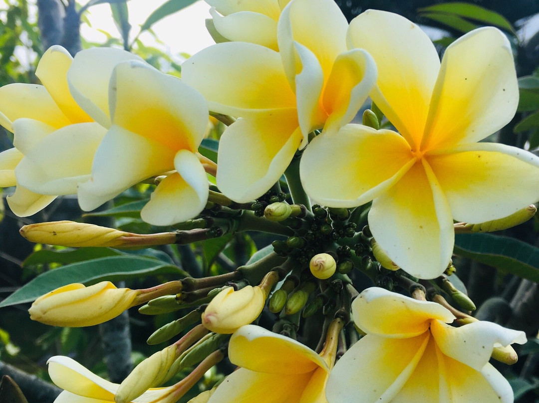 Mapa Lake View Bungalow主图