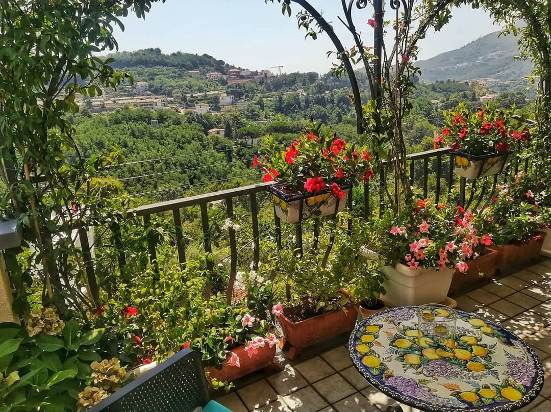 B&B Antico Cortile主图