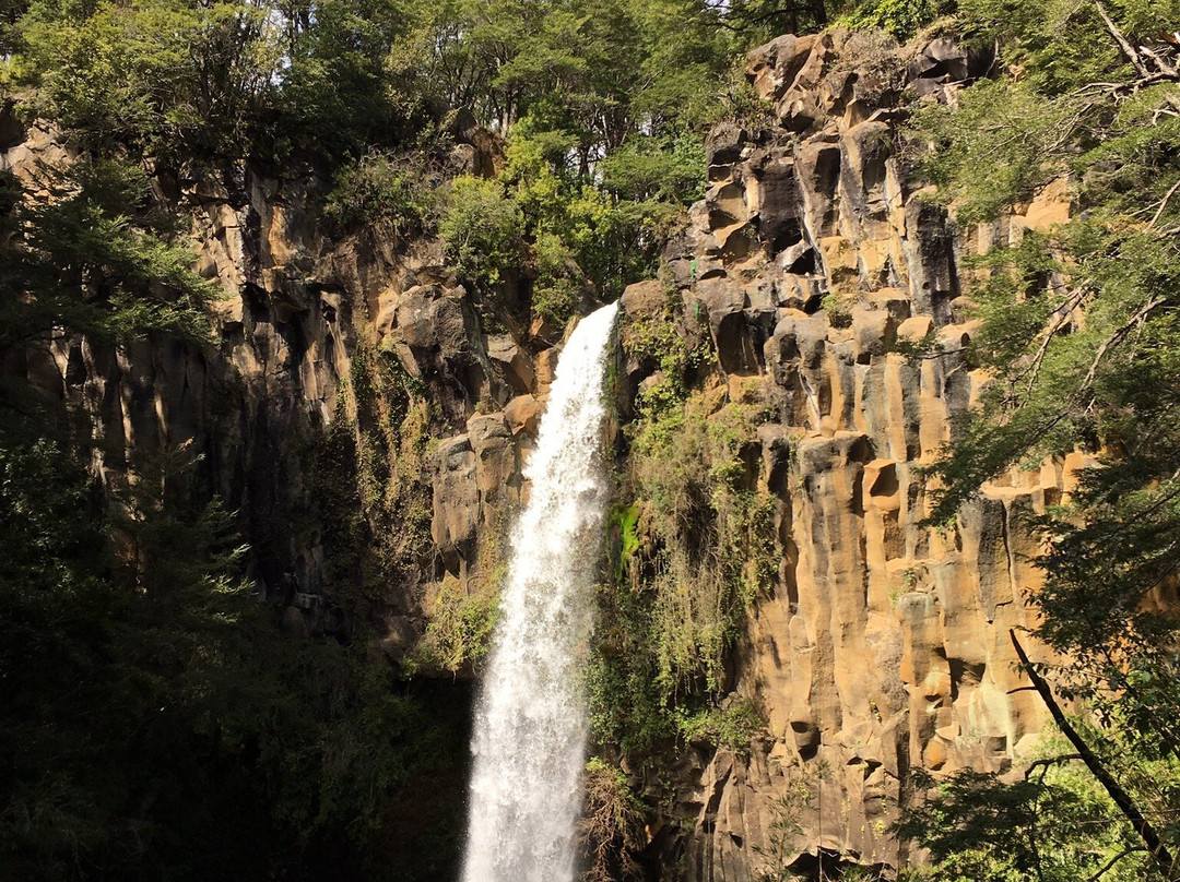 Salto de la Princesa-Curacautin必去景点