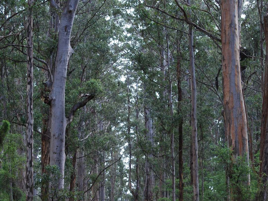 Warren National Park-彭伯顿必去景点