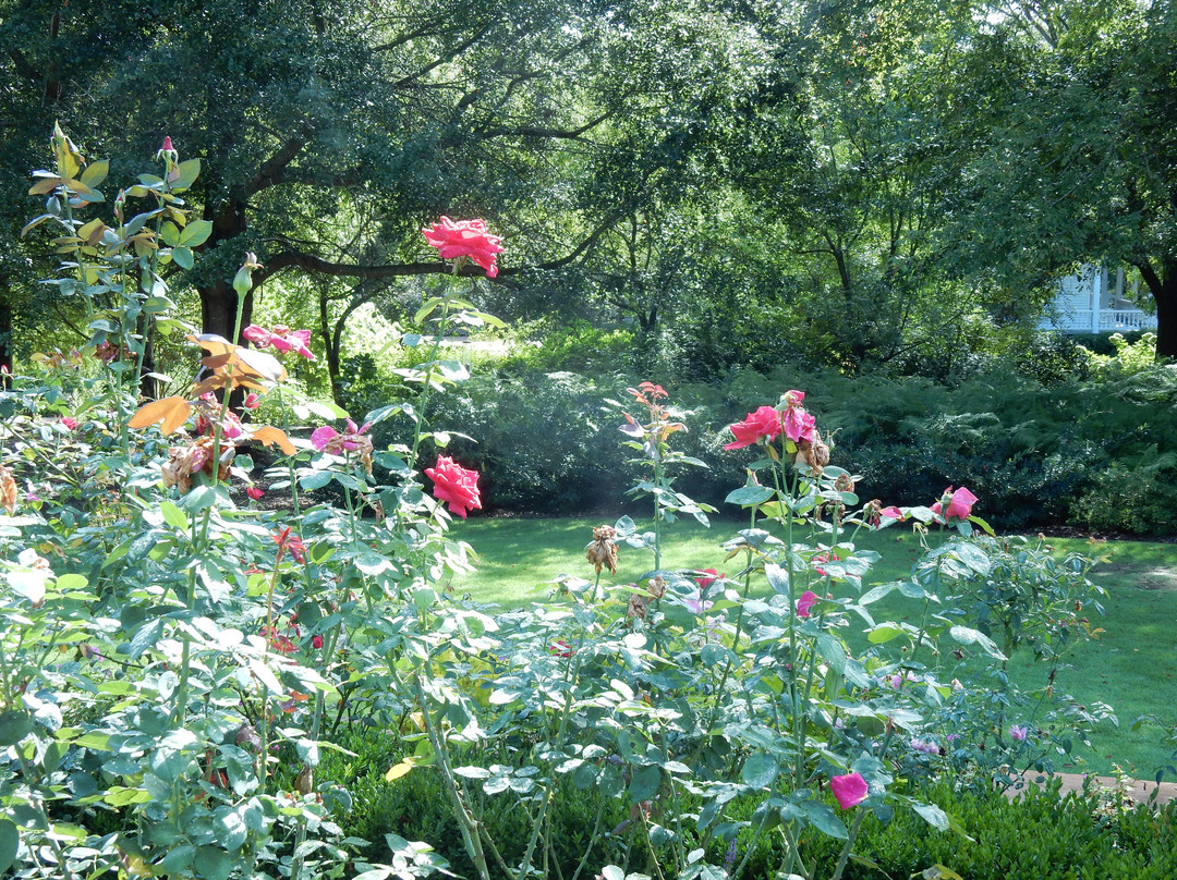 Columbus Botanical Garden景点图片