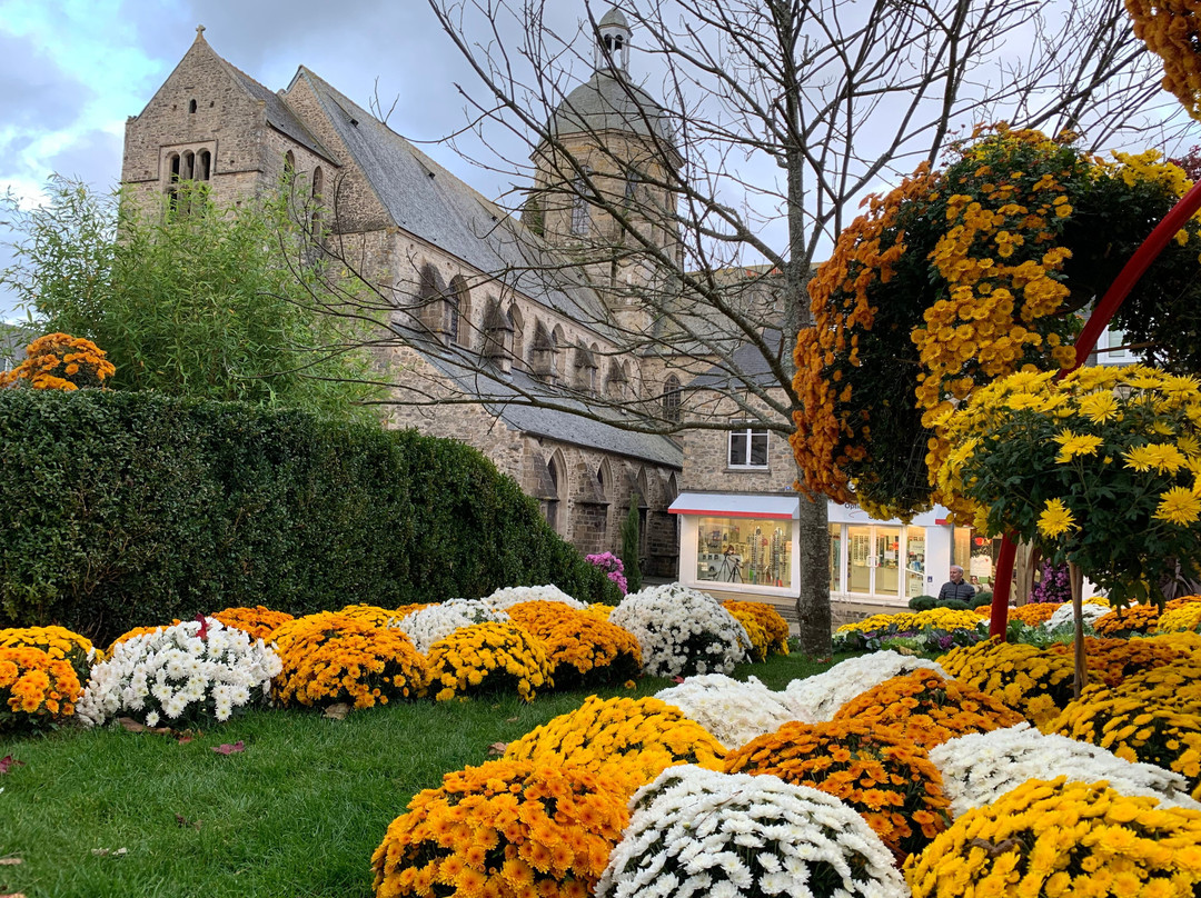 Eglise Saint Nicolas景点图片