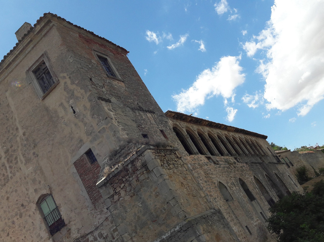 Palacio de los Hurtado de Mendoza景点图片