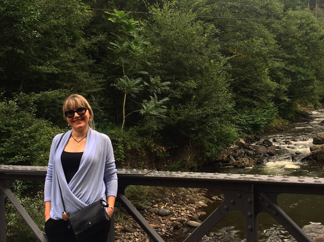 Borjomi Central Park-Borjomi必去景点