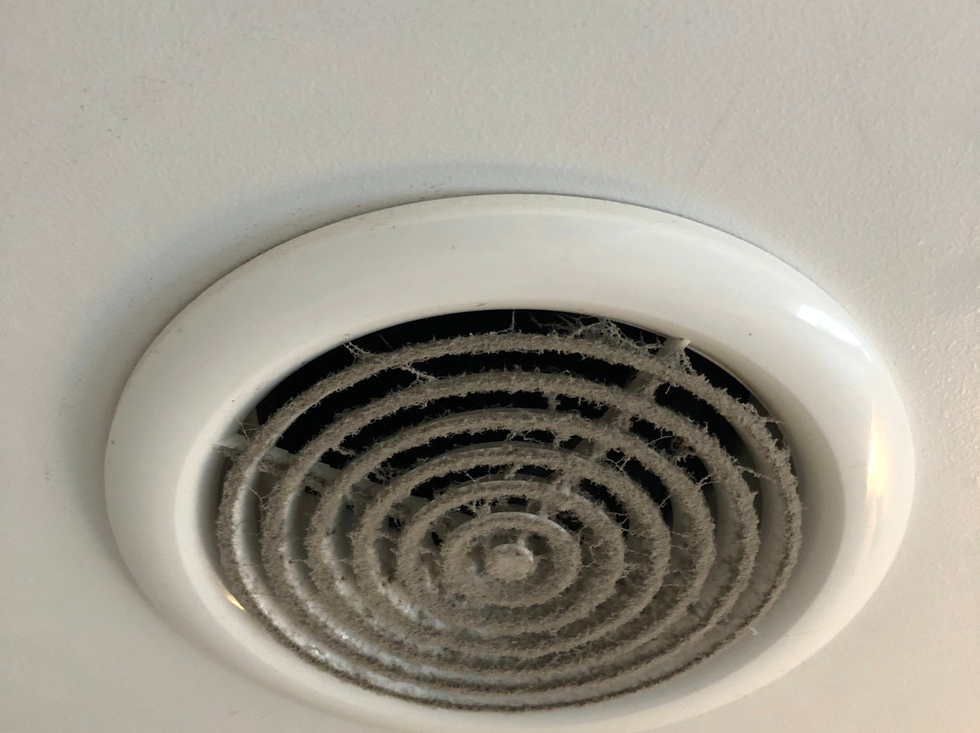 Greenlane Motel主图