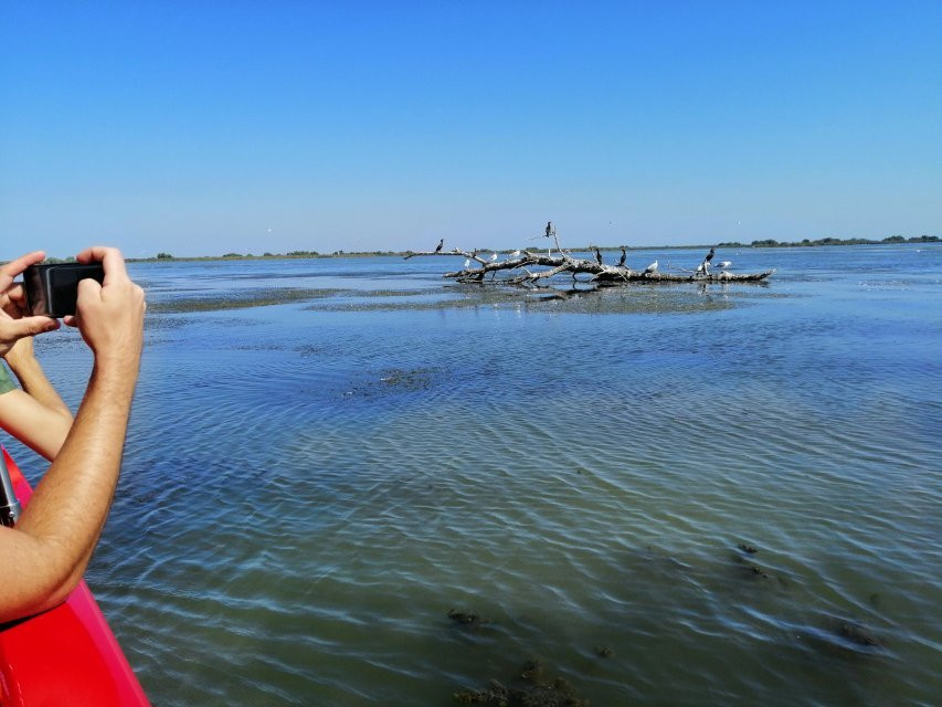 Danube Delta Wildlife Boat Tours景点图片