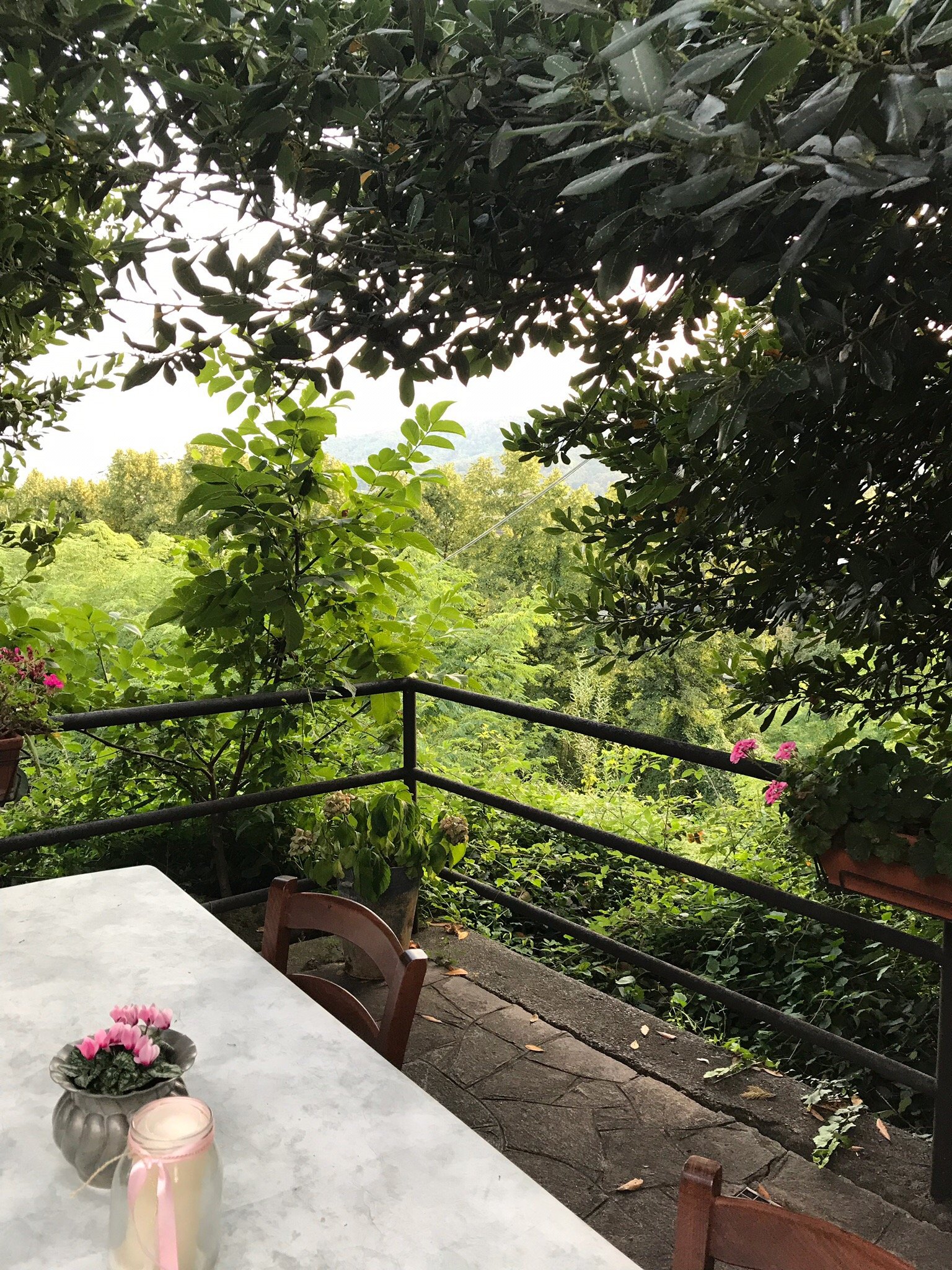 Cascina Ronchi-官方