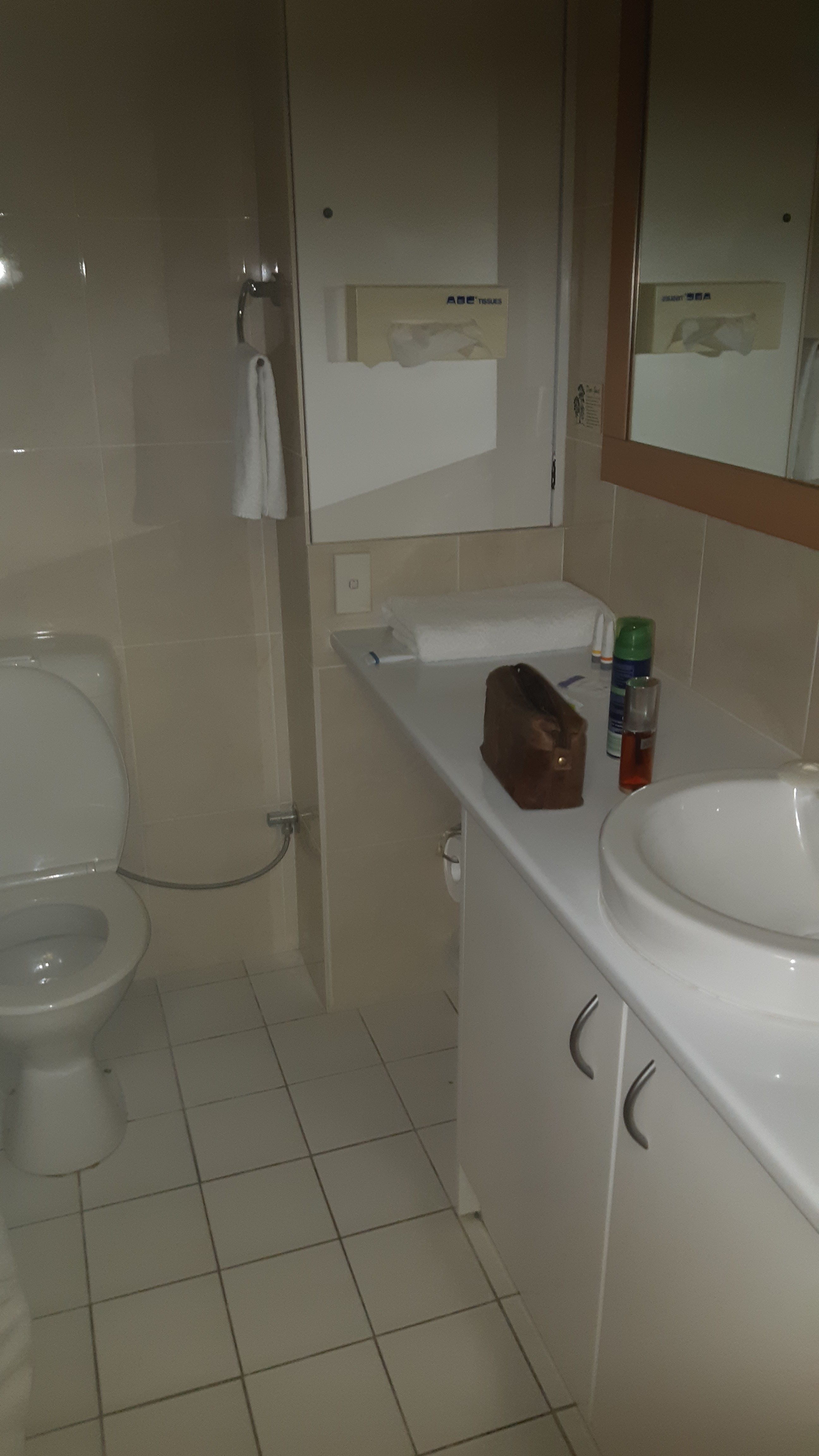 Comfort Inn Grammar View-浴室