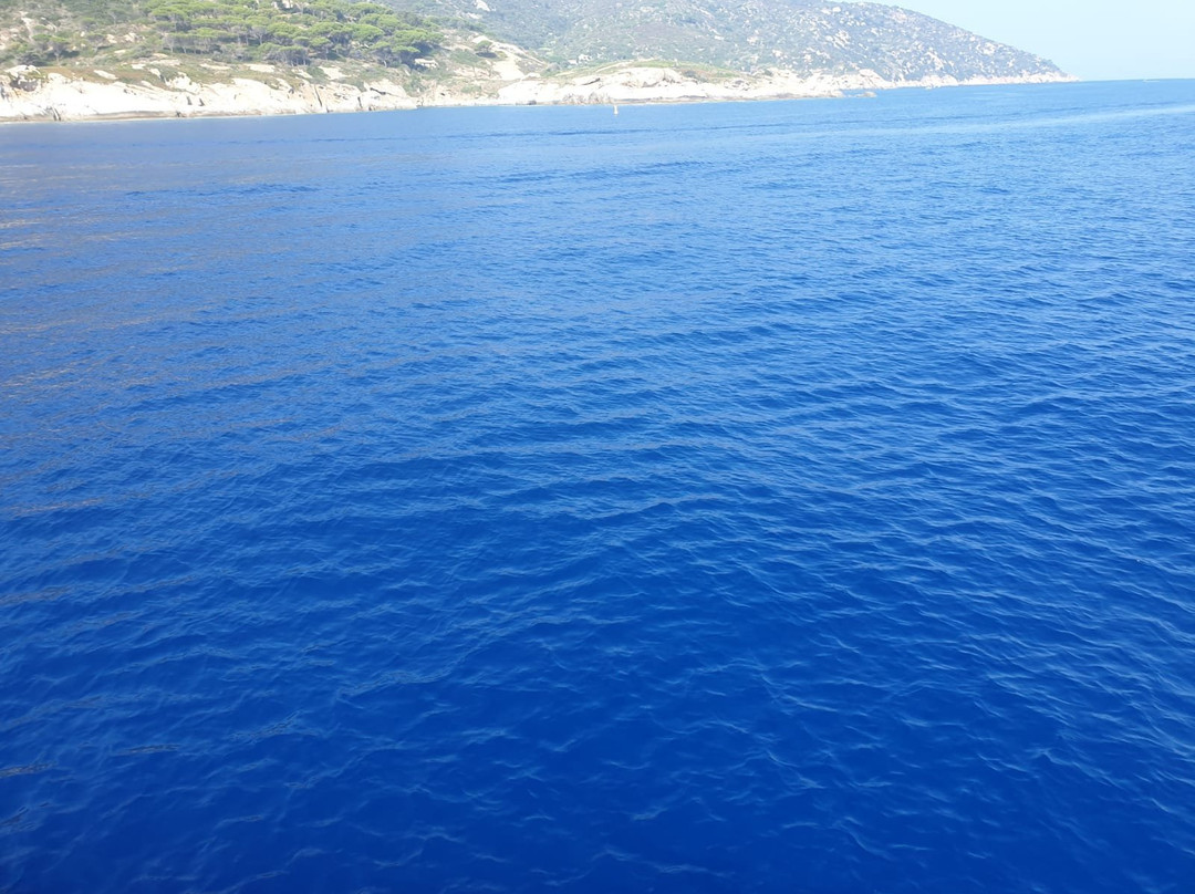 Motonave Ulisse-佩斯卡亚堡必去景点