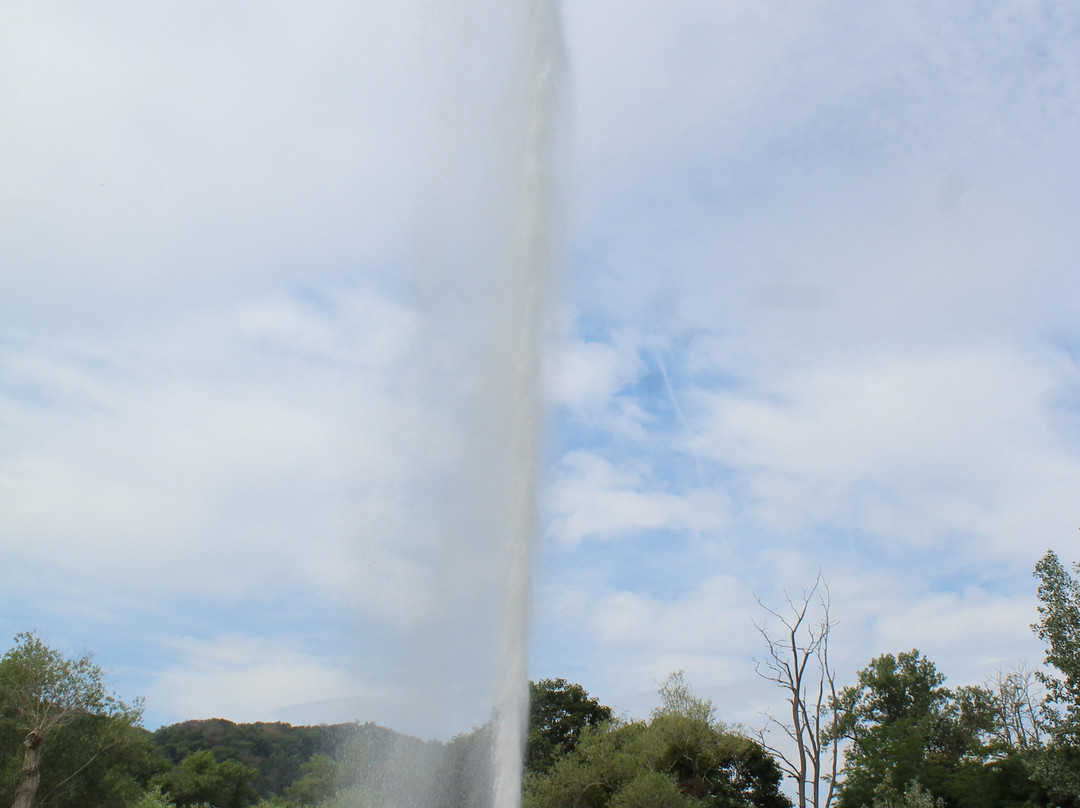 Geysir Andernach景点图片