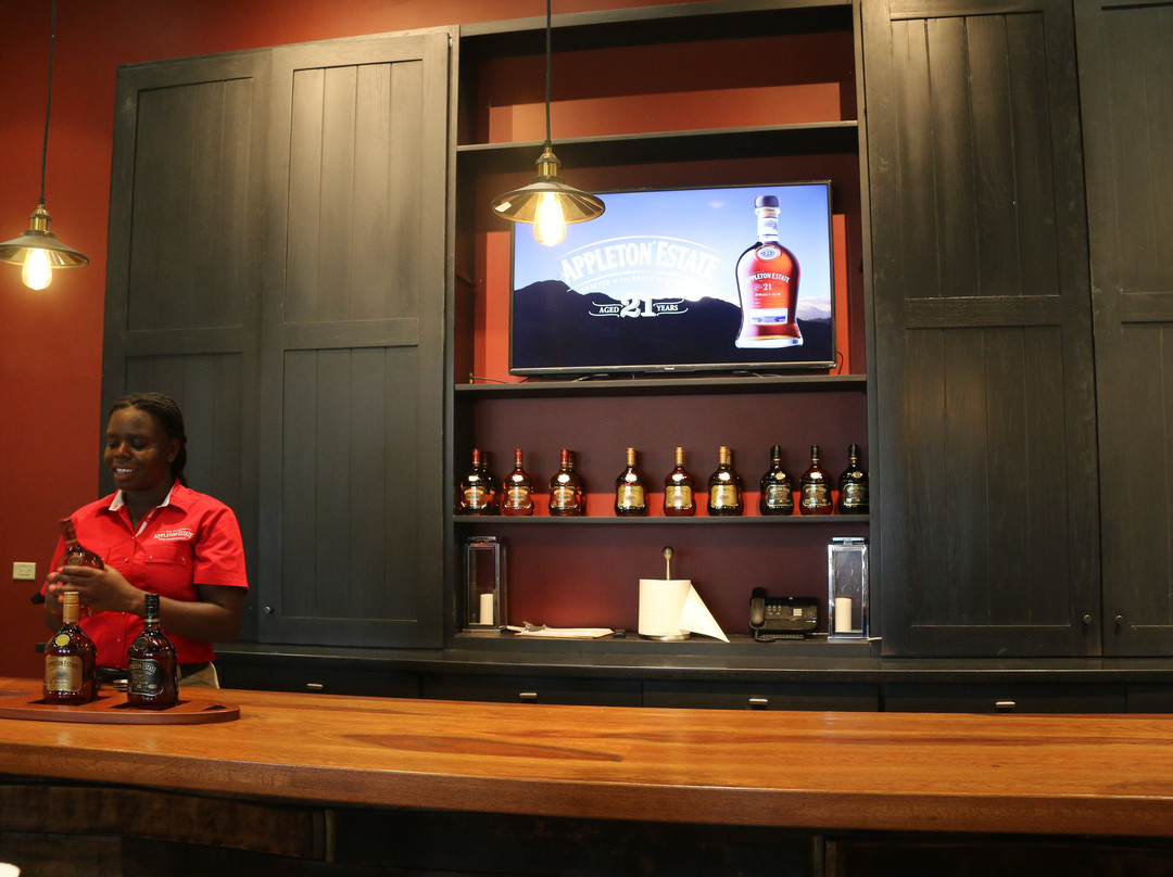 Antsman Tours Jamaica-内格里尔必去景点