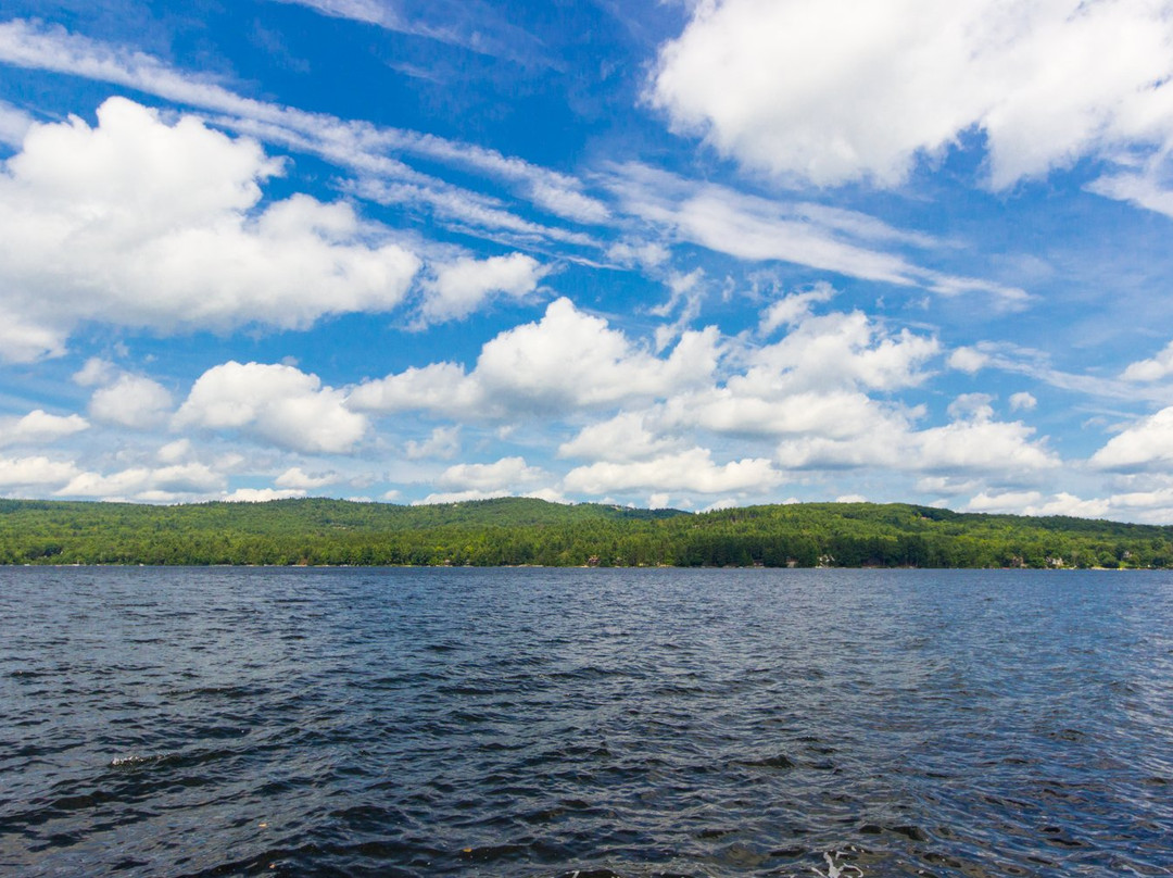 The Edgewood Inn主图