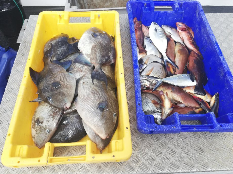 HáMar-Porto Formoso必去景点