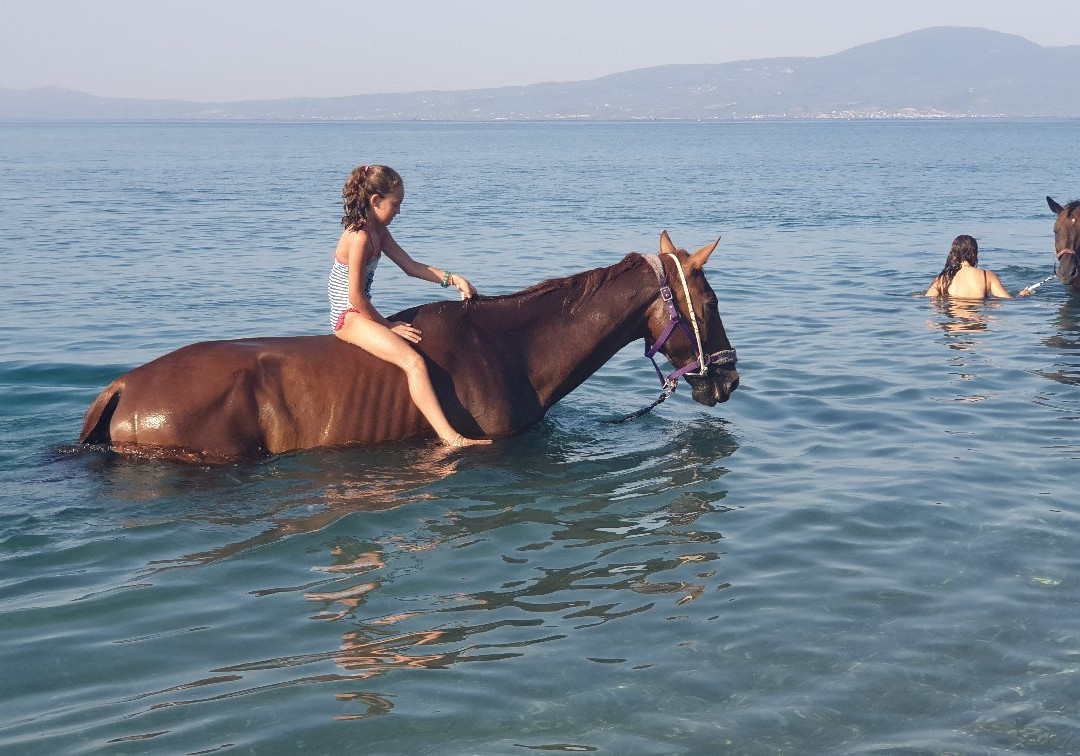 Ippikos Omilos Kalamatas-卡拉马塔必去景点