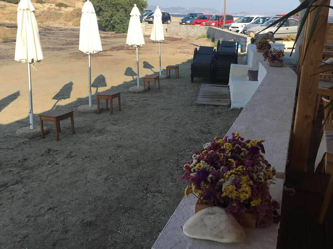 尼萨基海滩酒店主图