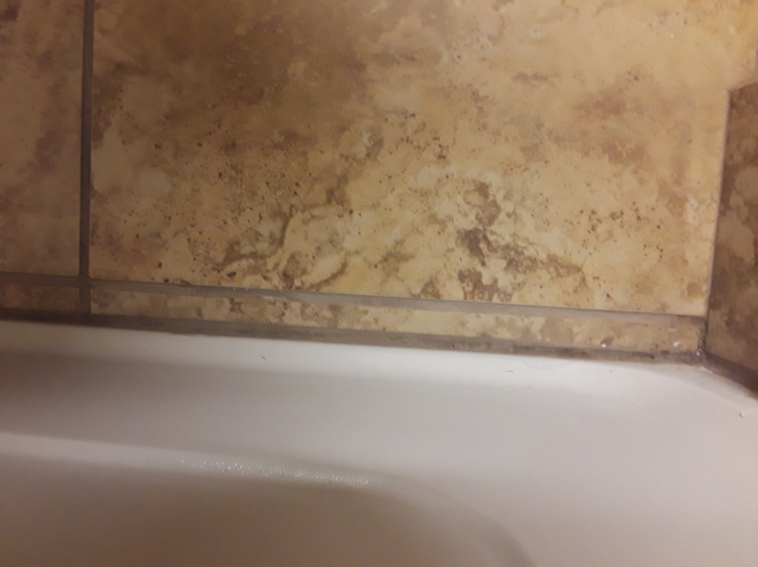 Hampton Inn & Suites New Hartford主图