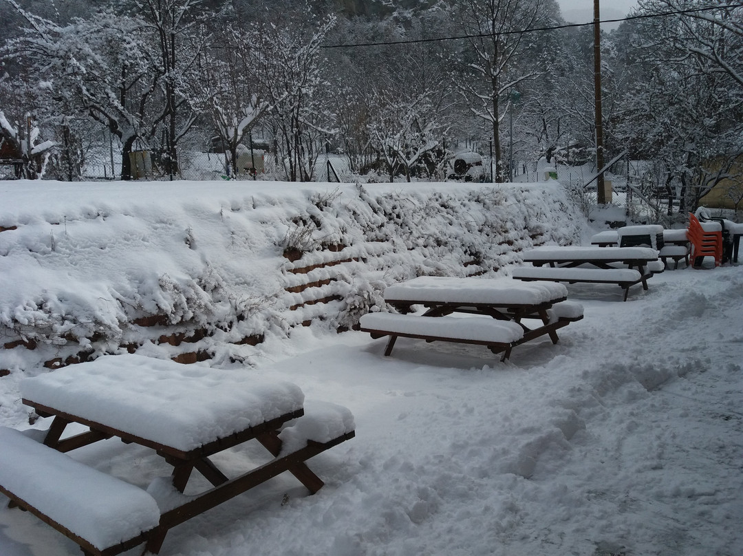 Les Gites du Mont Mounier