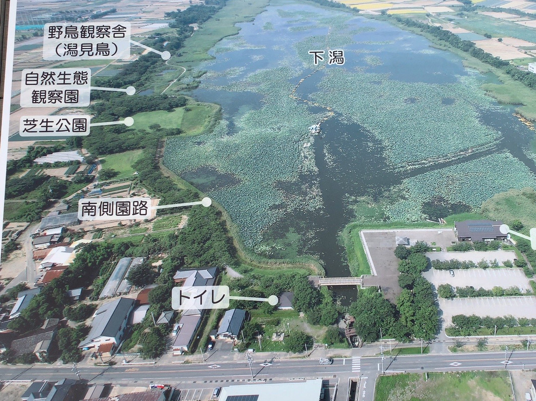 Sakata Park-新泻市必去景点