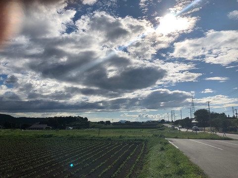 野花之宿 阿苏四季主图