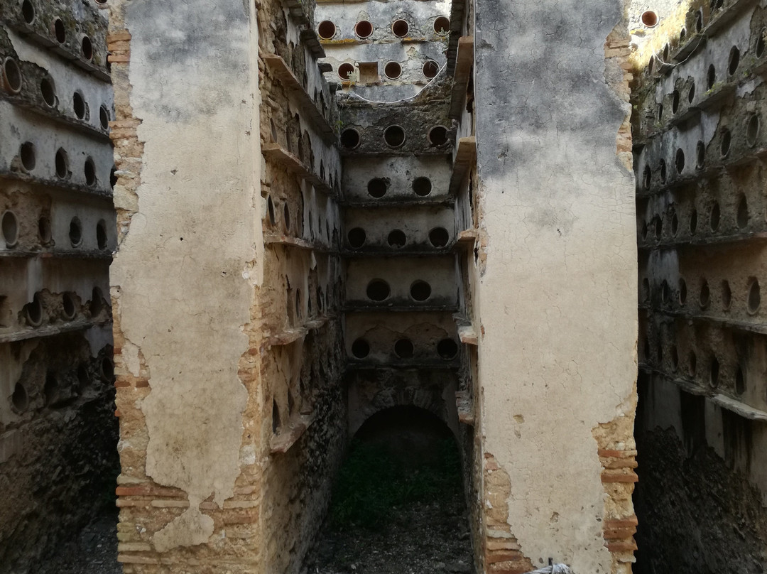 El Palomar de la Brena主图