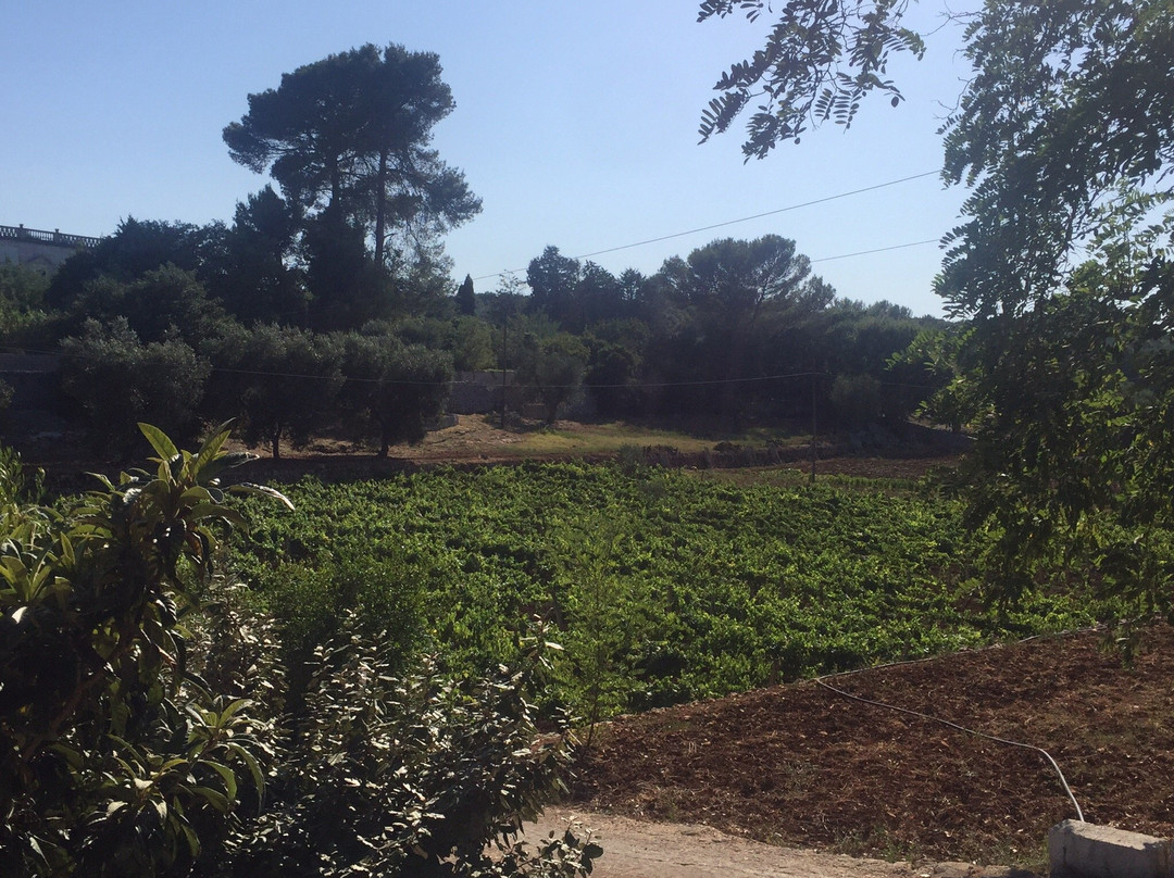 Villa Fumarola主图