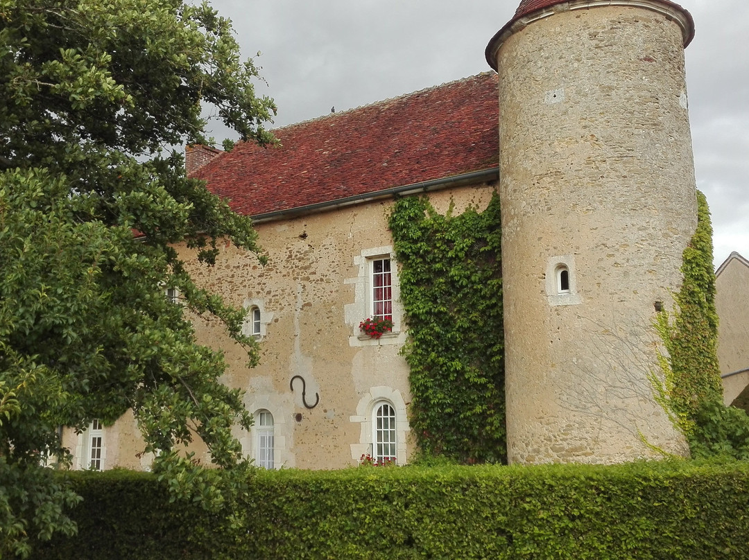 Château De Ribourdin主图