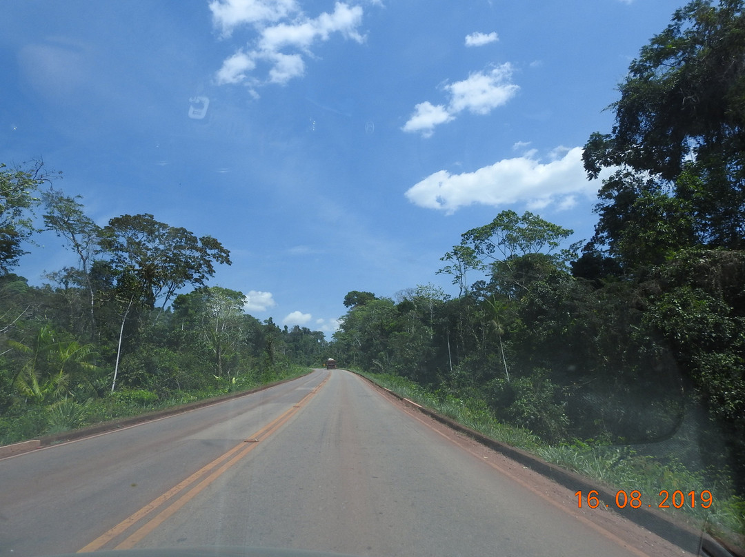 Floresta Nacional dos Carajas景点图片