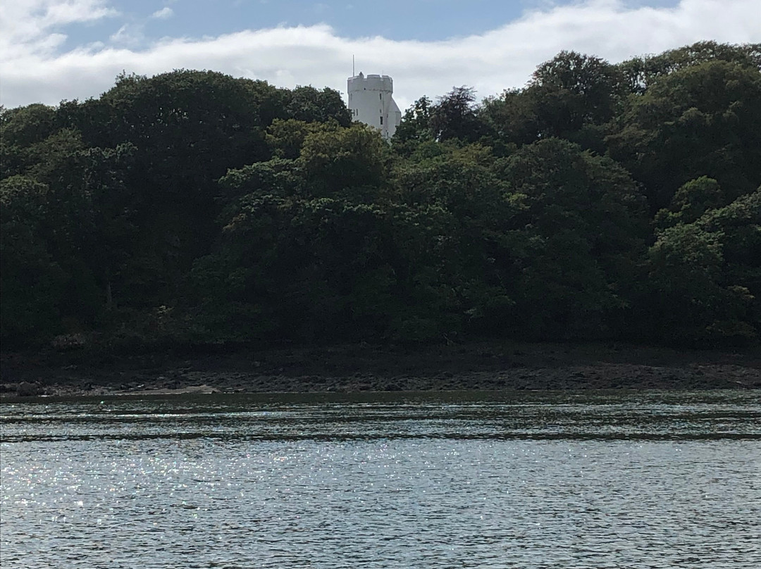 Discover Coast & Cleddau Boat Trips-Milford Haven必去景点