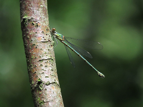 Deeping Lakes-Deeping St James必去景点