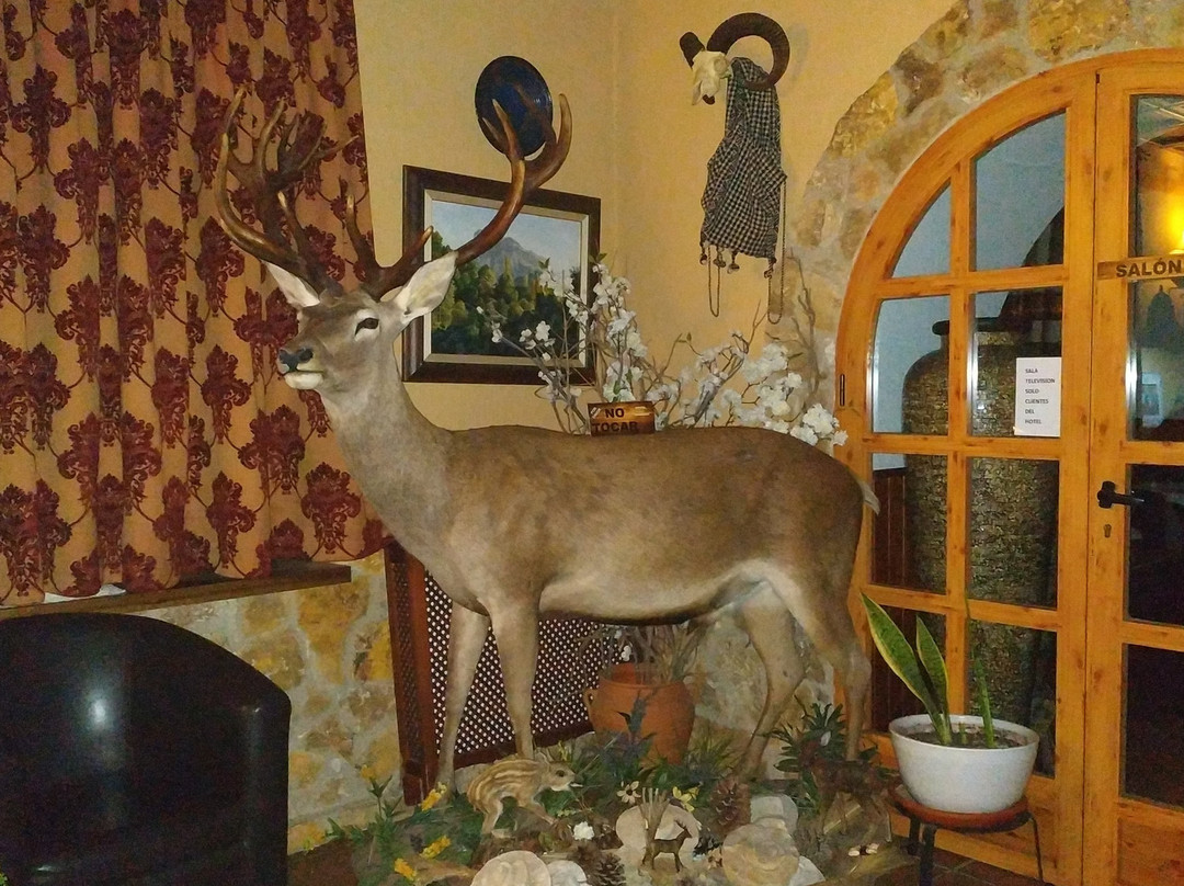 Coto Rios酒店住宿-Hotel Rural Mirasierra