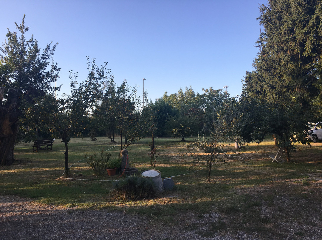 Lemignano酒店住宿-Albero Cavo B&B