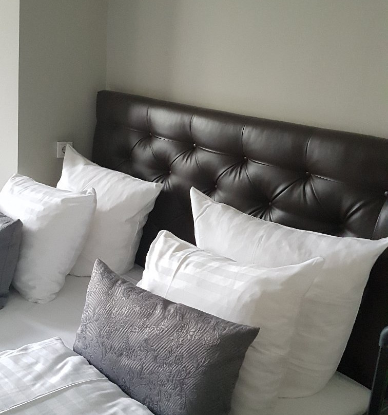 莱茵布里克别墅酒店主图