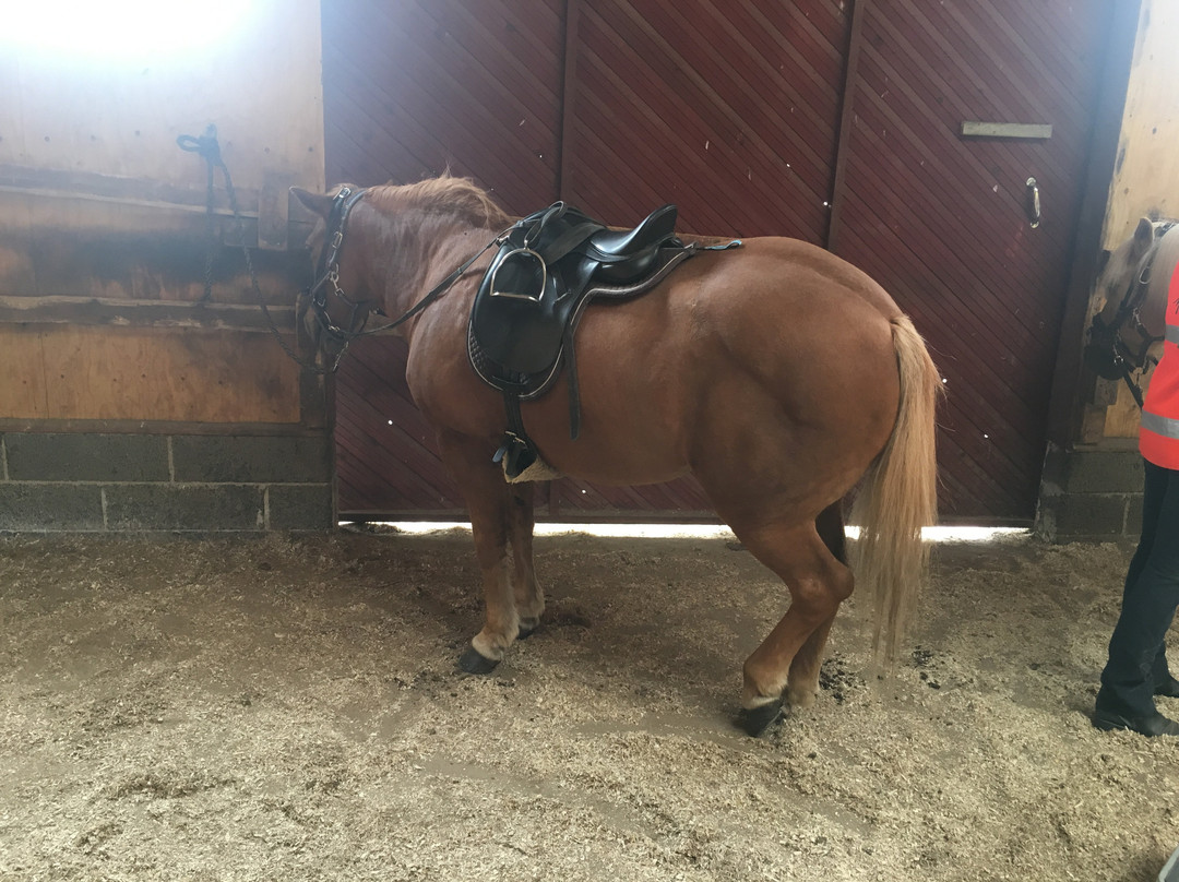 Kainuun Vaellustalli-Sotkamo必去景点