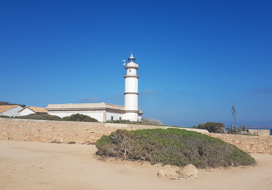 Faro Ses Salines景点图片