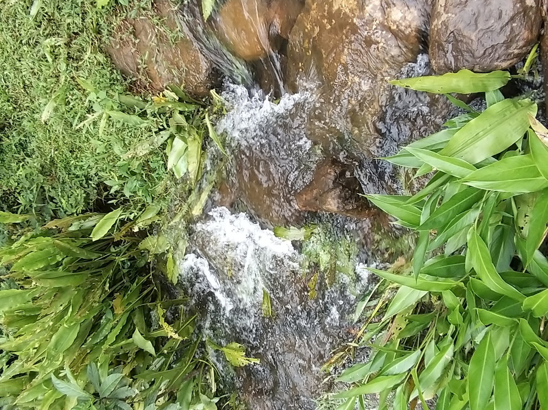 Thudugala Ella waterfall景点图片