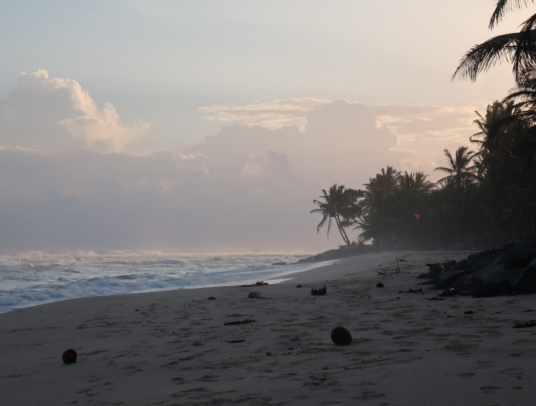 蜂巢海滩住宿加早餐旅馆主图