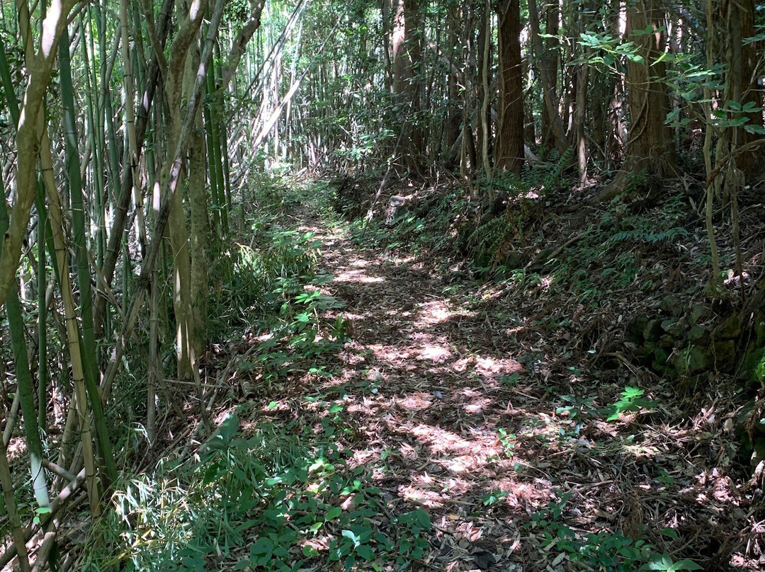 Takuhi Shrine-西之岛町必去景点