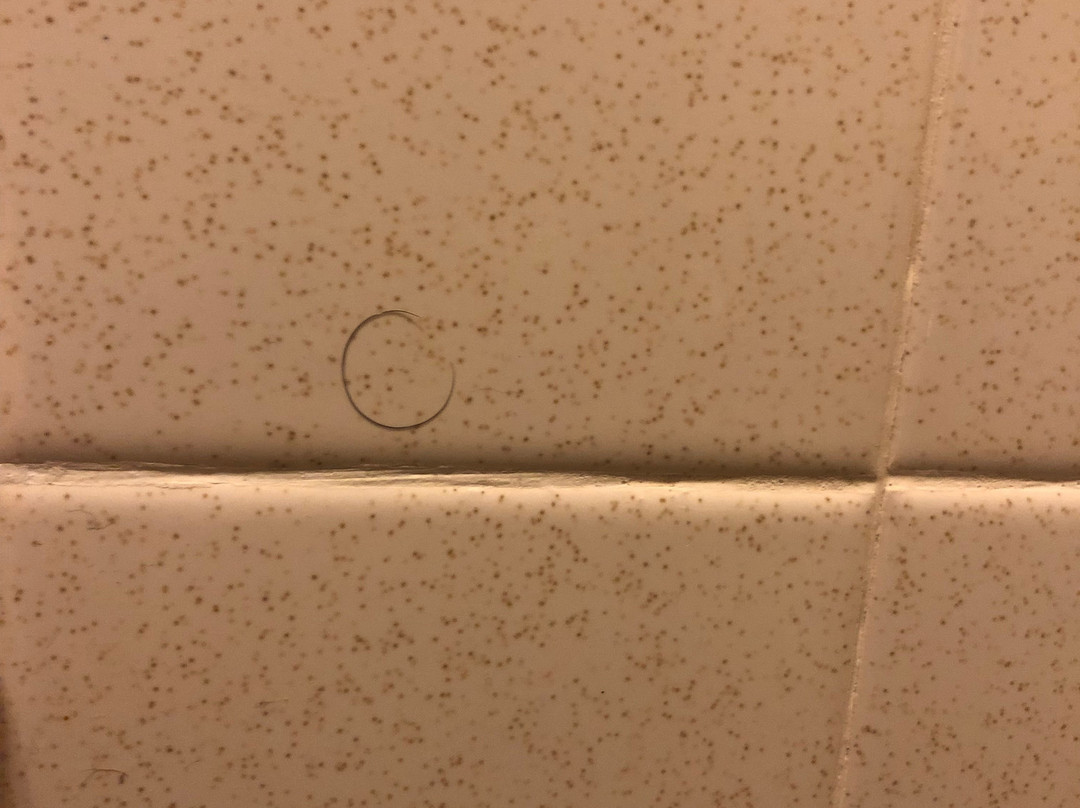 Spring Fountain Motel主图