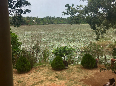 Heritage Lake View主图